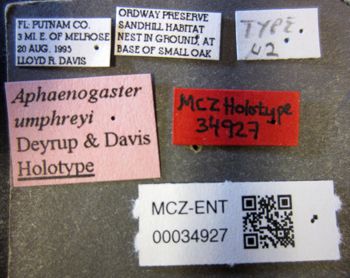 Media type: image;   Entomology 34927 Aspect: labels